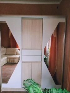 Шкаф-купе ЭДЕМ 1.7м с зеркалом