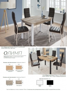 Стол обеденный ОЛИМП-1 Столешница-16мм 100х60 см